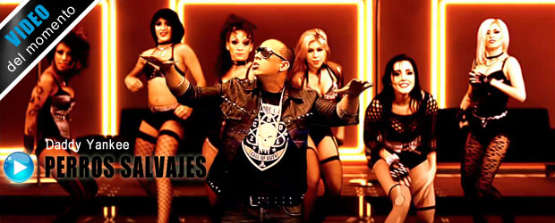 Video Perros Salvajes de Daddy Yankee