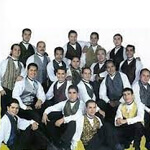 Perfil de Banda Caña Verde