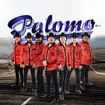Biografía de Grupo Palomo