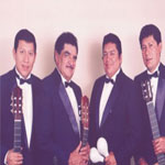 Perfil de Los Dandy's