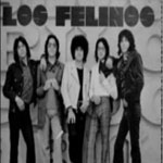 Letras(lyrics) de canciones de Los Felinos