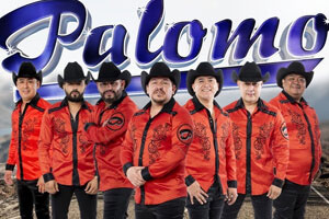 Biografía de Grupo Palomo