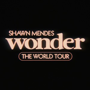 Concierto de Shawn Mendes, Wonder: The World Tour, en Zúrich, Suiza, Martes, 10 de mayo de 2022