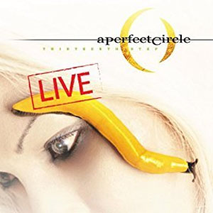 Álbum Thirteenth Step - Live de A Perfect Circle