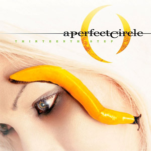 Álbum Thirteenth Step de A Perfect Circle