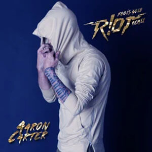 Álbum Fool's Gold (R!OT Remix) de Aaron Carter