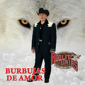Álbum Burbujas De Amor de Adolfo Urias Y Su Lobo Norteño