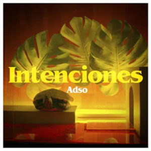 Álbum Intenciones de Adso Alejandro