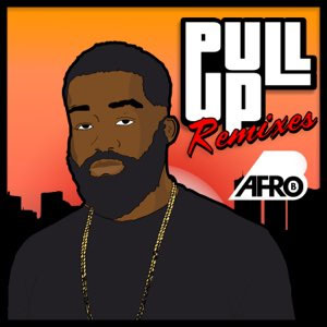 Álbum Pull Up (Remixes) de Afrob