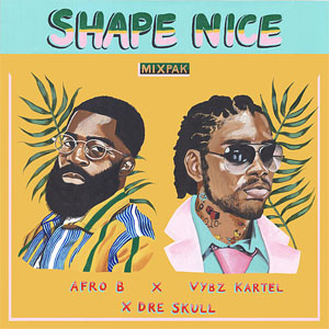 Álbum Shape Nice de Afrob