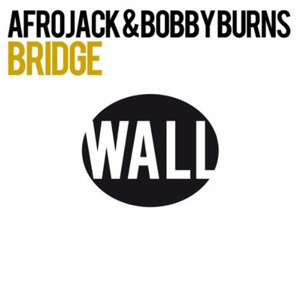 Álbum Bridge de Afrojack