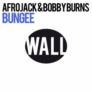Álbum Bungee de Afrojack