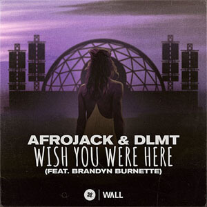 Álbum Wish You Were Here de Afrojack