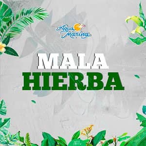 Álbum Mala Hierba de Agua Marina