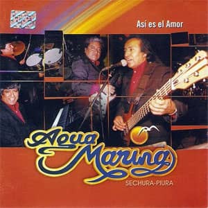 Álbum Vol. 13: Así Es El Amor de Agua Marina