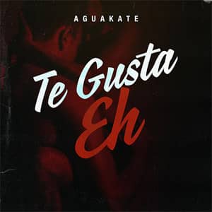Álbum Te Gusta Eh de Aguakate