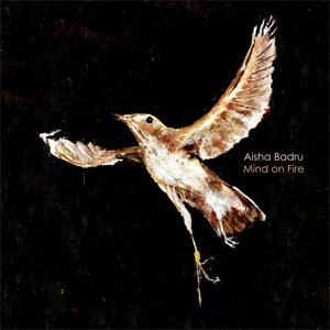 Álbum Mind on Fire de Aisha Badru