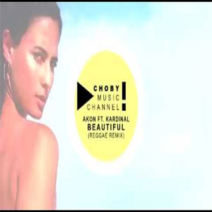 Álbum Beautiful (Reggae Remix) de Akon