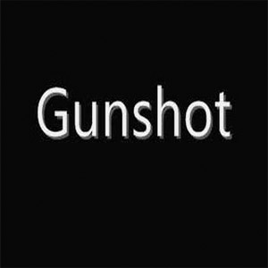 Álbum Gunshot (Fiesta Riddim) de Akon