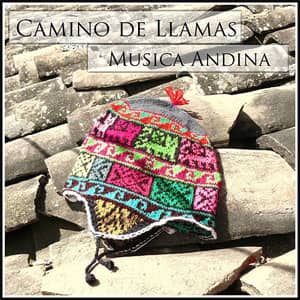 Álbum Camino De Llamas - Musica Andina de Alborada