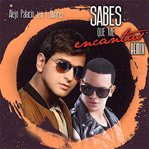 Álbum Sabes Que Me Encantas (Remix) de Alejandro Palacio