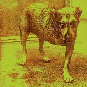 Álbum Alice In Chains de Alice in Chains