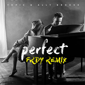 Álbum Perfect (Remix) de Ally Brooke