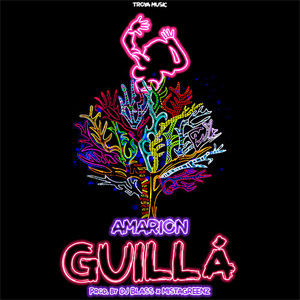 Álbum Guilla de Amarion