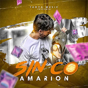 Álbum Sin Co de Amarion