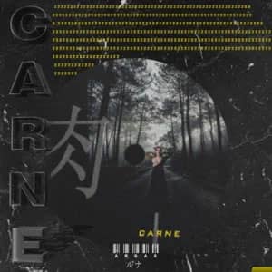 Álbum Carne de Ámbar Luna
