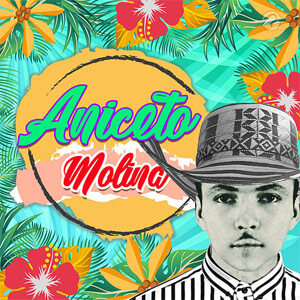 Álbum La Comadre de Aniceto Molina