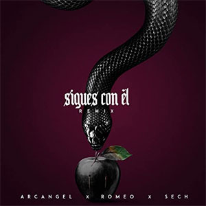 Álbum Sigues Con Él (Remix) de Arcangel