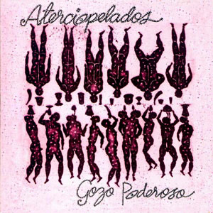 Álbum Gozo Poderoso de Aterciopelados