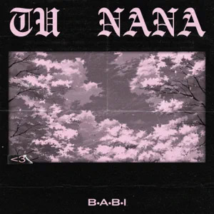 Álbum Tu Nana de Babi