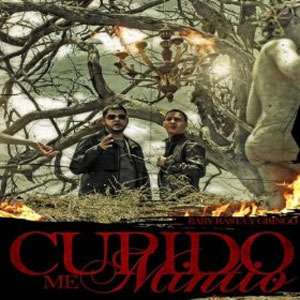 Álbum Cupido Me Mintió de Baby Rasta y Gringo