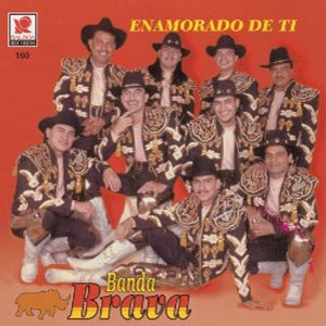 Álbum Enamorado De Ti de Banda Brava