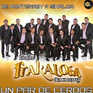 Álbum Un Par De Cerdos  de Banda La Trakalosa
