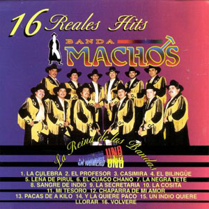 Álbum 16  Reales Hits de Banda Machos