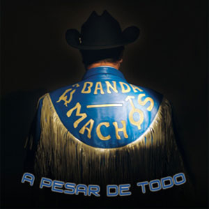 Álbum Pesar De Todo de Banda Machos