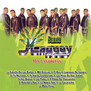 Álbum Mis Favoritas de Banda Maguey