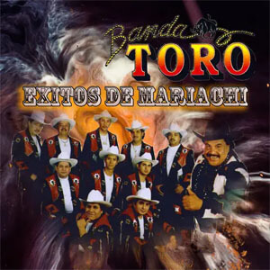 Álbum Éxitos de Mariachi de Banda Toro
