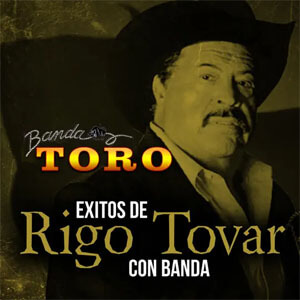 Álbum Éxitos de Rigo Tovar Con Banda de Banda Toro