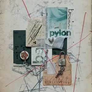 Álbum Pylon de Beabadoobee