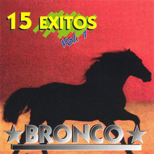 Álbum 15 Éxitos de Bronco