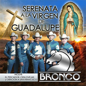 Álbum Serenata A La Virgen De Guadalupe de Bronco