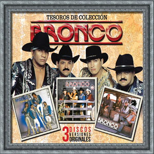 Álbum Tesoros De Colección de Bronco