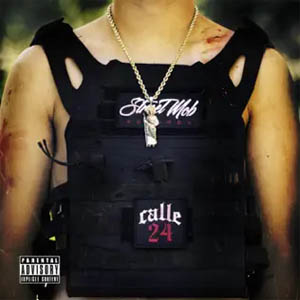 Álbum Mi Nueva Familia de Calle 24