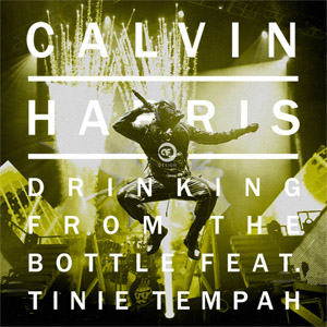 Álbum Drinking From The Bottle de Calvin Harris