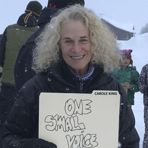 Álbum One Small Voice de Carole King