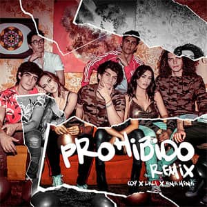 Álbum Prohibido (Remix) de CD9